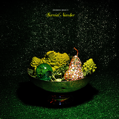 Swarming Branch — Surreal Number 앨범 커버