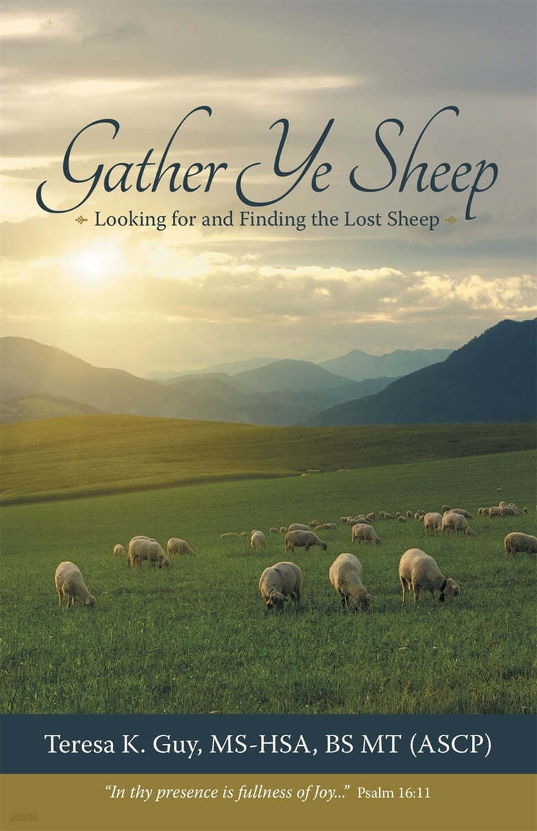 Gather Ye Sheep: Looking for and Finding the Lost Sheep