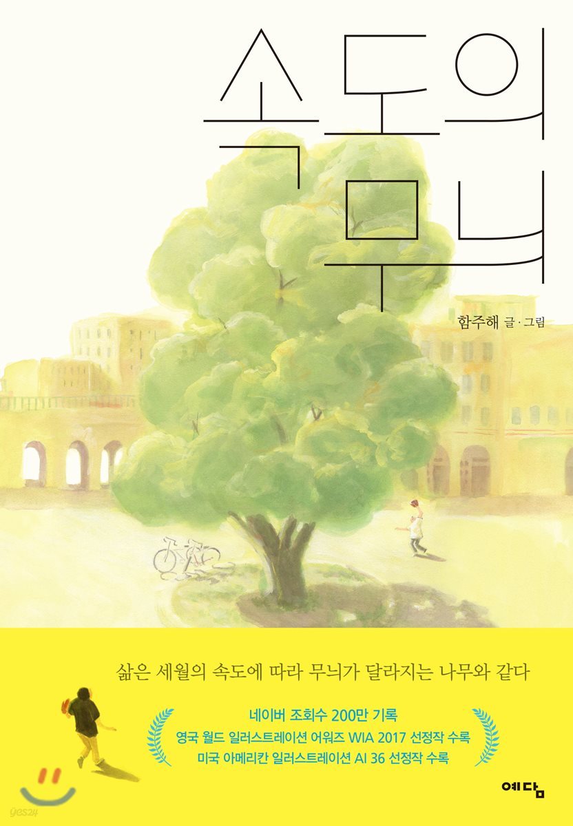 속도의 무늬