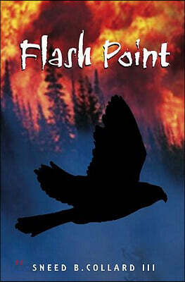 Flash Point