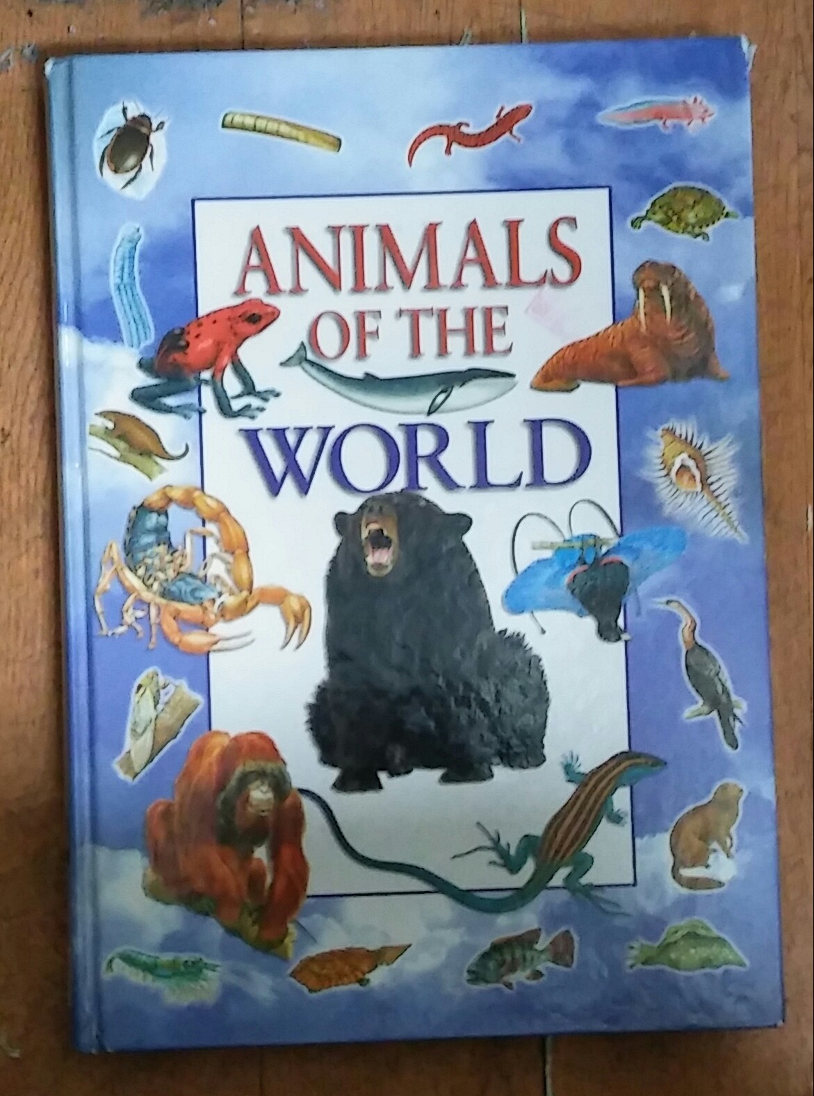 ANIMALS OF THE WORLD-영문도서