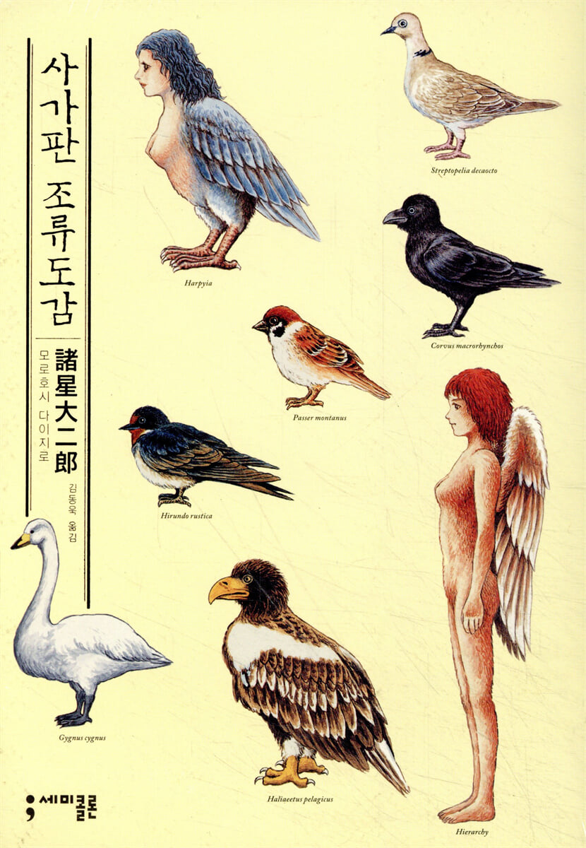 사가판 조류도감
