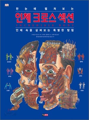 한눈에 펼쳐보는 인체 크로스 섹션