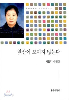 앞산이 보이지 않는다