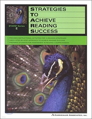 Strategies To Achieve Reading Success E