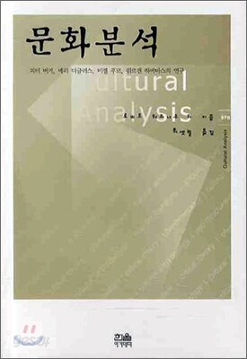 문화분석