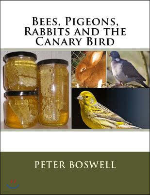 Bees, Pigeons, Rabbits and the Canary Bird