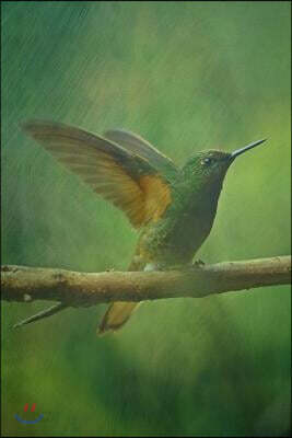 Hummingbird in Green Illustration Journal: 150 Page Lined Notebook/Diary