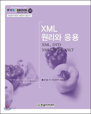 XML 원리와 응용