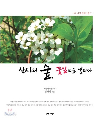 산사의 숲, 꽃잎으로 열리다