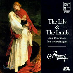 Anonymous 4 - The Lily & The Lamb
