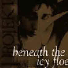 V.A. - Beneath The Icy Floe ()