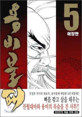 용비불패 애장판 5