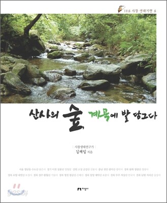 산사의 숲, 계곡에 발 담그다