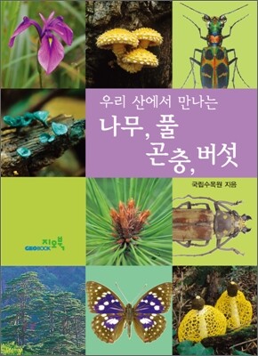 나무, 풀, 버섯, 곤충 세트
