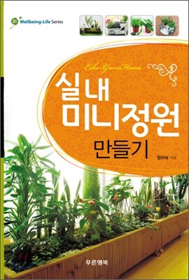 실내 미니 정원 만들기