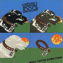 Stray Dog - While You're Down There (Expanded Edition)