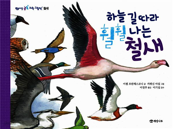 하늘 길 따라 훨훨 나는 철새 - 씨앗 톡톡 과학 그림책 4