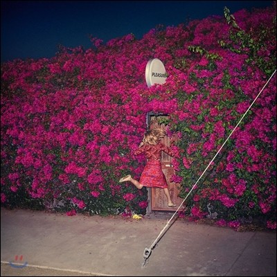 Feist — Pleasure 앨범 커버