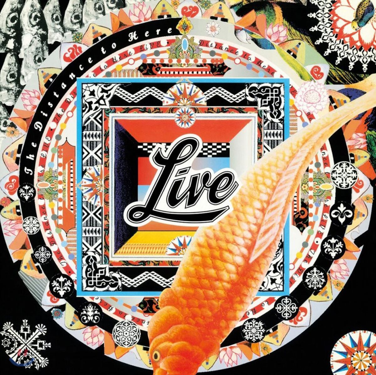 Live (라이브) - The Distance To Here [LP]