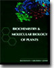 Biochemistry & Molecular Biology of Plants (Paperback)