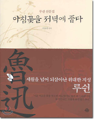 아침꽃을 저녁에 줍다