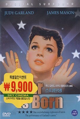스타탄생
