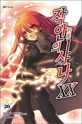 작안의 샤나 20