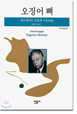 오징어 뼈