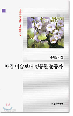 아침 이슬보다 영롱한 눈동자
