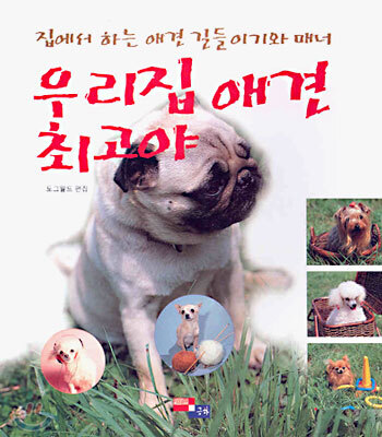 우리집 애견 최고야
