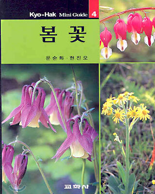 봄꽃