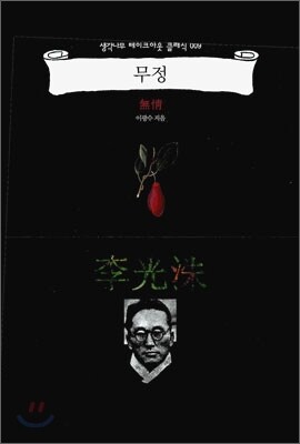 무정