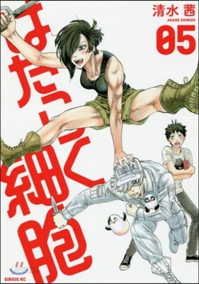 はたらく細胞 5