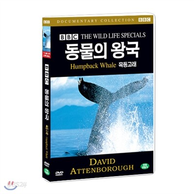 BBC 동물의왕국- 혹등고래 (Humpback Whale  BBC THE WILD LIFE SPECIAL)