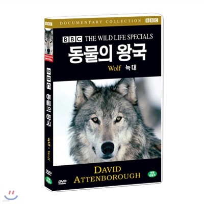 BBC 동물의왕국- 늑대 (Wolf -BBC THE WILD LIFE SPECIAL)