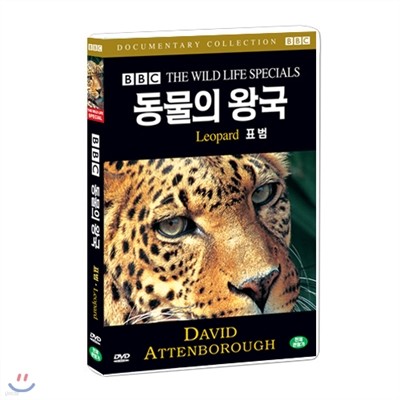 BBC 동물의왕국-표범 (Leopard BBC THE WILD LIFE SPECIAL)