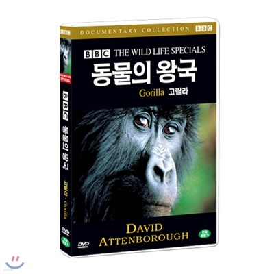 BBC 동물의왕국 - 고릴라(Gorilla - BBC THE WILDLIFE SPECIAL)