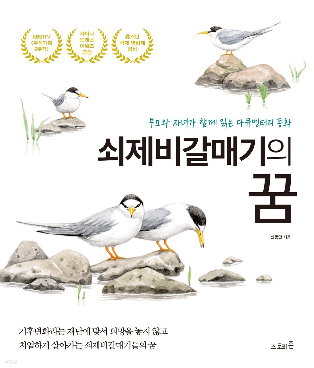 쇠제비갈매기의 꿈