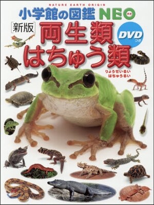 兩生類.はちゅう類 新版