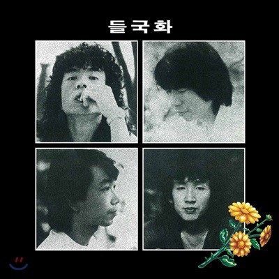 들국화 — 1집 들국화 앨범 커버