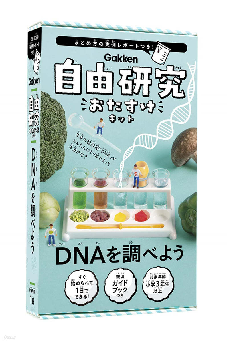 自由硏究おたすけキット DNAを調べよう