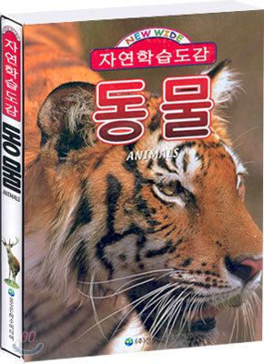 동물