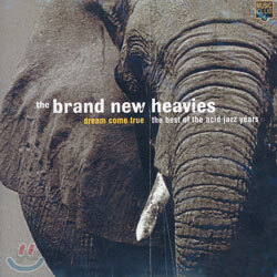 The Brand New Heavies - Dream Come True: The Best Of The Acid Jazz Years