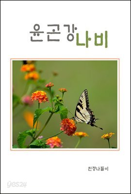 윤곤강 나비