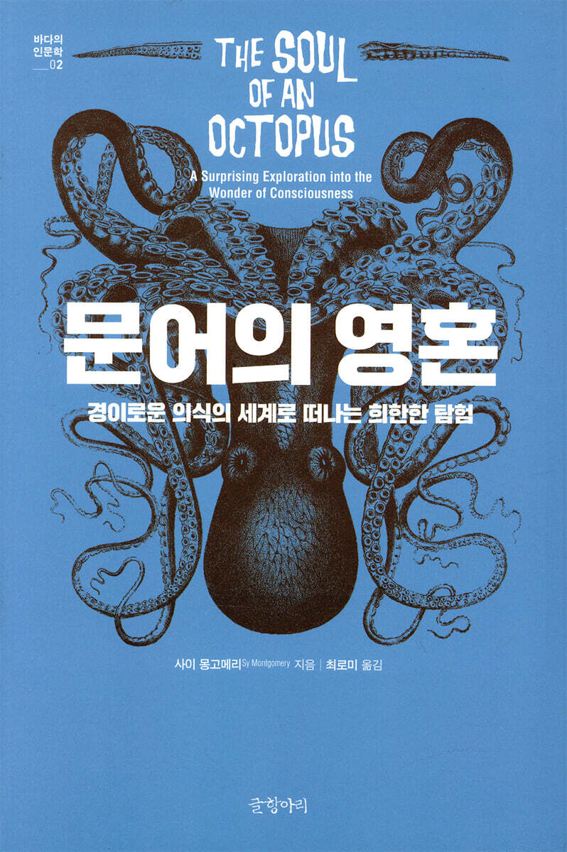 문어의 영혼