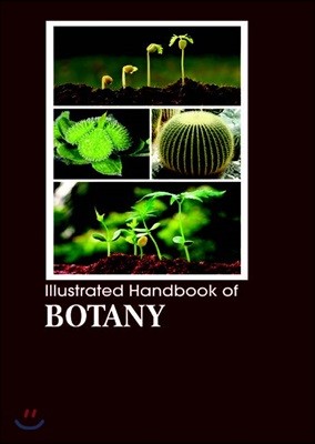 Illustrated Handbook Of<br/>Botany