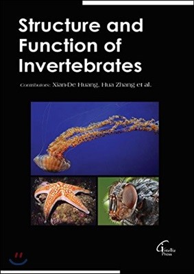 Structure And Function Of Invertebrates