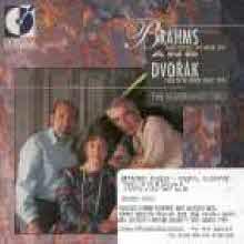 Rembrandt Trio - Brahms : Piano Trio No. 1 in B Major, Op. 8, Dvorak : Piano Trio in E Minor 'DUMKY', Op 90 (수입/dor90160)