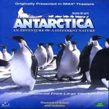 [DVD] Antarctica -    (IMAXȭ/̰)